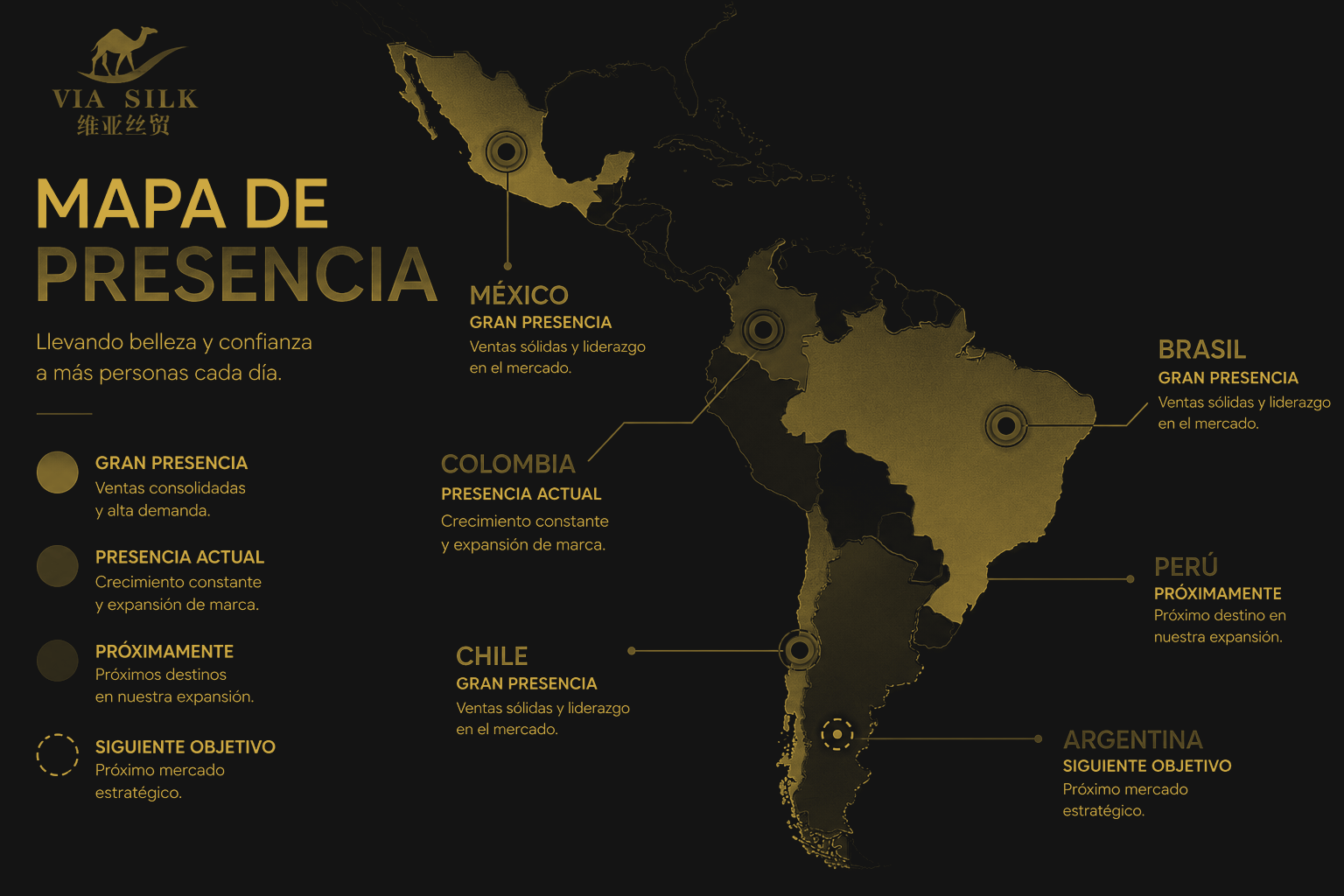 Mapa de presencia VIA SILK en Latinoamérica